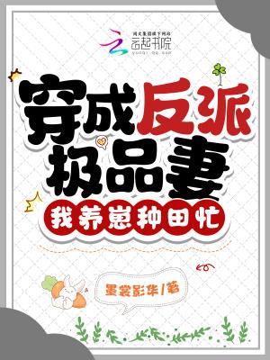 穿成反派极品男妻
