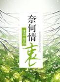 奈何情深下一句是什么